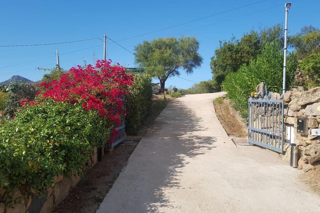 Villa Sara أولبيا المظهر الخارجي الصورة